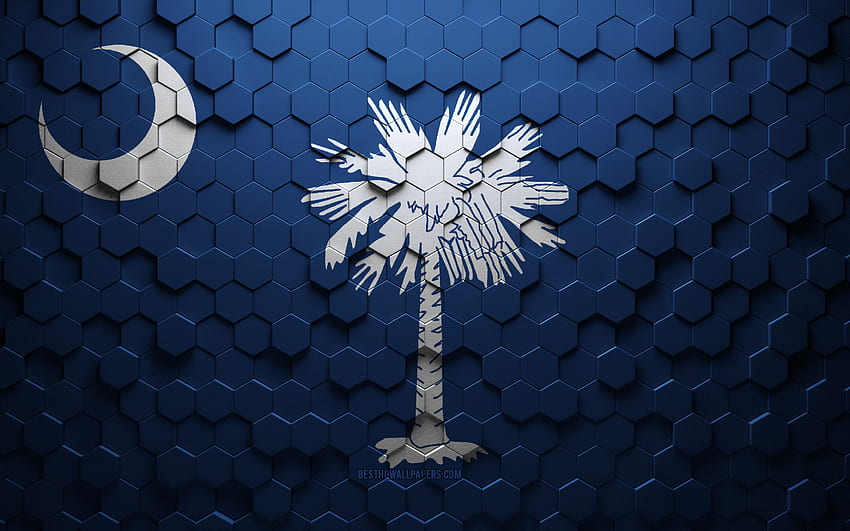 Bendera Carolina Selatan, seni sarang lebah, bendera segi enam Carolina Selatan, Carolina Selatan, seni segi enam 3d, bendera Carolina Selatan Wallpaper HD