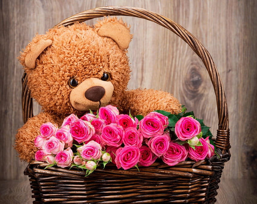 Cute Baby With Teddy Bear High - - HD wallpaper