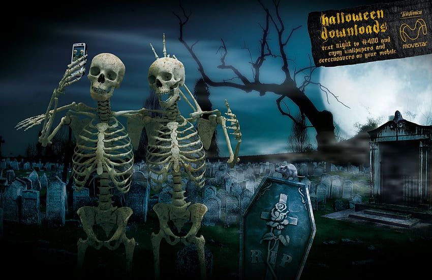 Skeleton, Halloween Jack Skeleton HD wallpaper