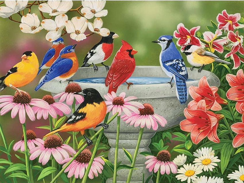 Summer meeting, birds, finch, bluejay, blossoms, colors, flowers, cardinal HD wallpaper