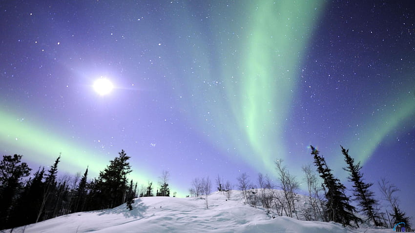 Aurora Borealis, 알래스카, 밤하늘 HD 월페이퍼