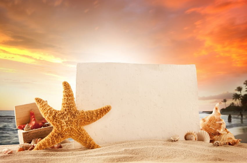 Summer Vacation, starfish, summer, shells, sand, vacation, beach HD wallpaper