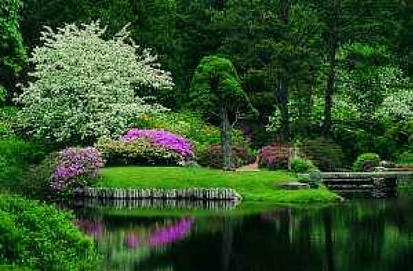 Azalea garden, garden, nature, grass, azalea, park HD wallpaper