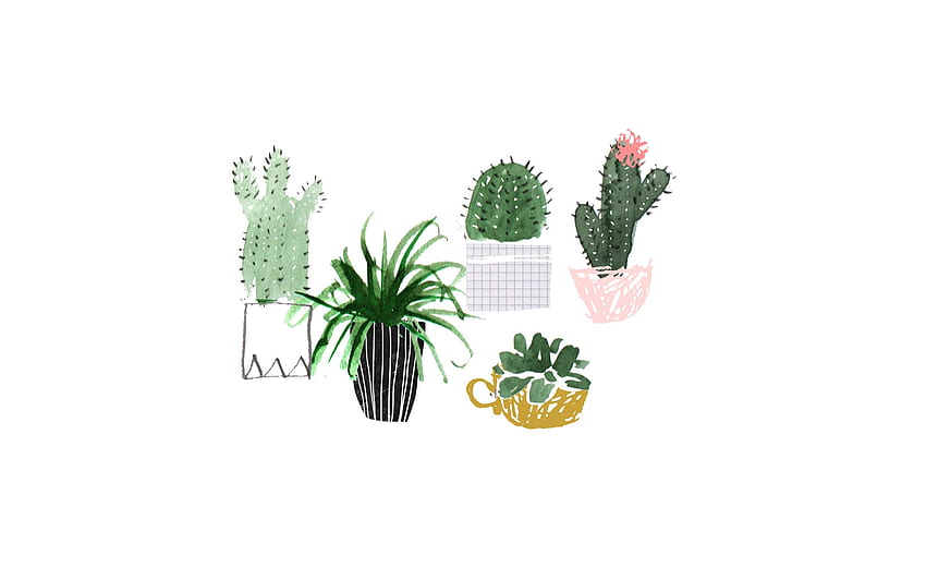 WIndows Background: Background Plants, Succulent Garden HD wallpaper