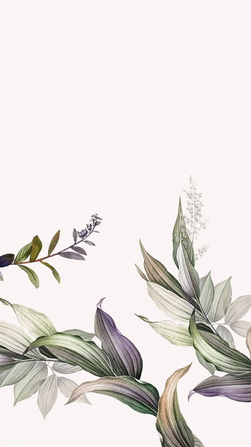 vector premium de vector de de hojas botánicas tropicales. de hojas, de flores, de flores fondo de pantalla del teléfono