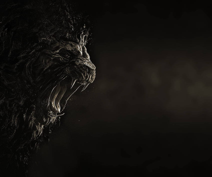 Black lion HD wallpaper | Pxfuel