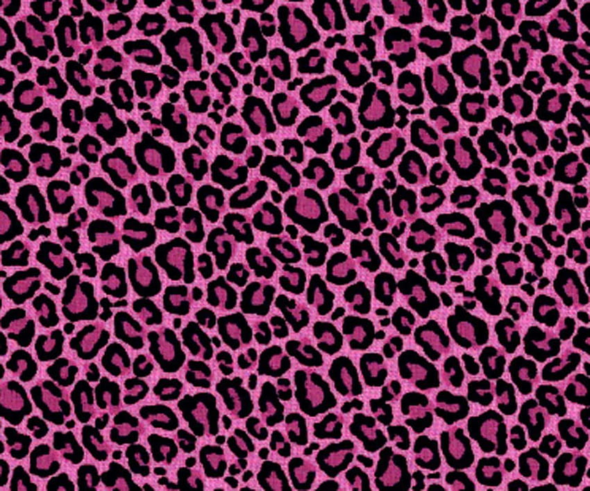 Cheetah Print, Neon Animal Print HD wallpaper