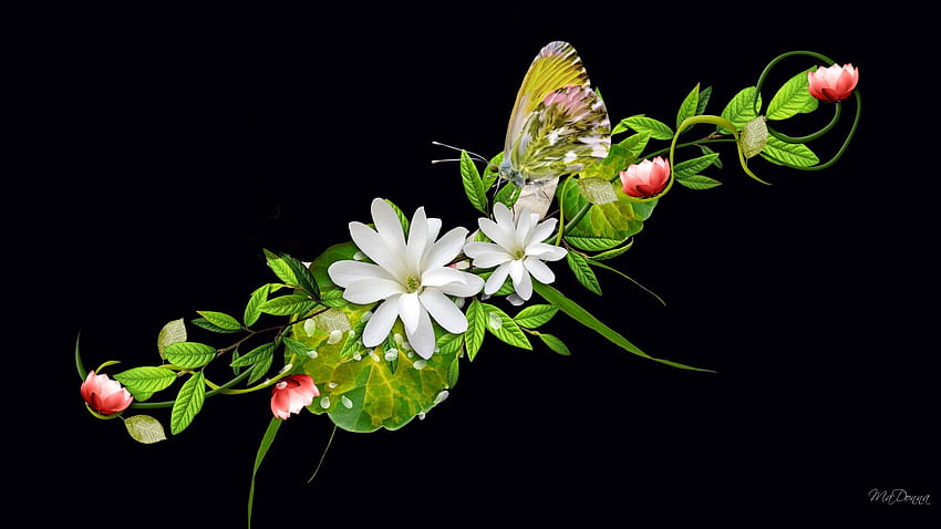 Abstrakte Blumen mit Schmetterlings-schwarzem Wallpape HD-Hintergrundbild