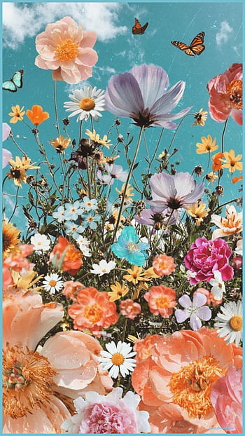 HD wild flowers wallpapers  Peakpx