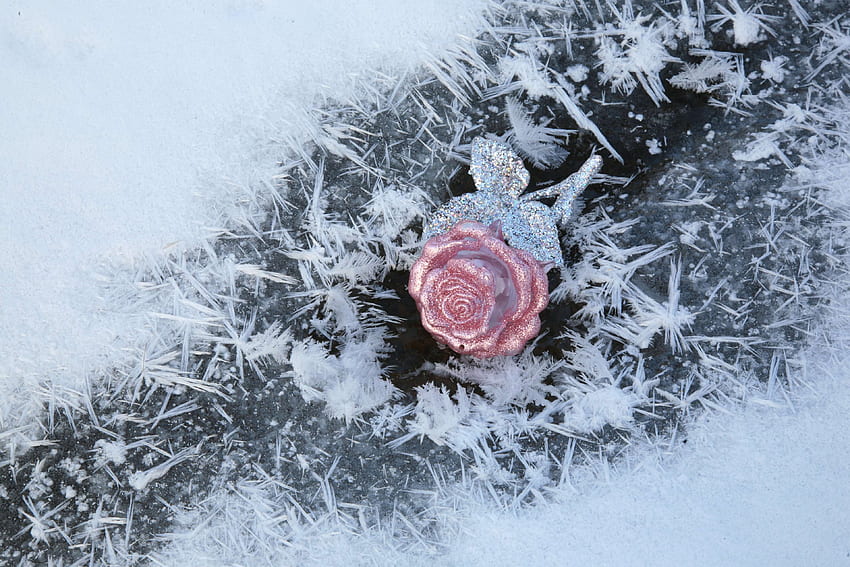 bauble, closeup, cold, composition, crystal, flower, frost, ice, landscape, leann, nature, petals, queen of flowers, rose, white, winter HD wallpaper