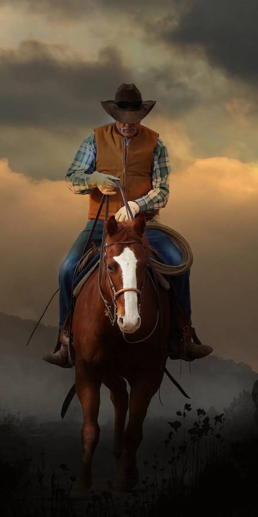 Zachodni kowboje, wiejski kowboj Tapeta na telefon HD