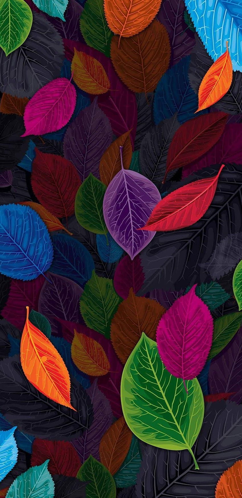 Colorful leaves. Colorful , Cellphone , Flower HD phone wallpaper