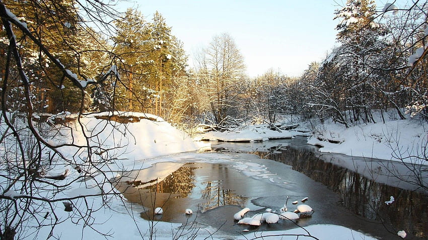 River: Melting Winter Early Trees Snow River Spring Forest End High HD wallpaper