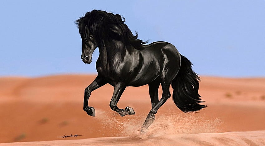 Black horse, animal, run, horse HD wallpaper