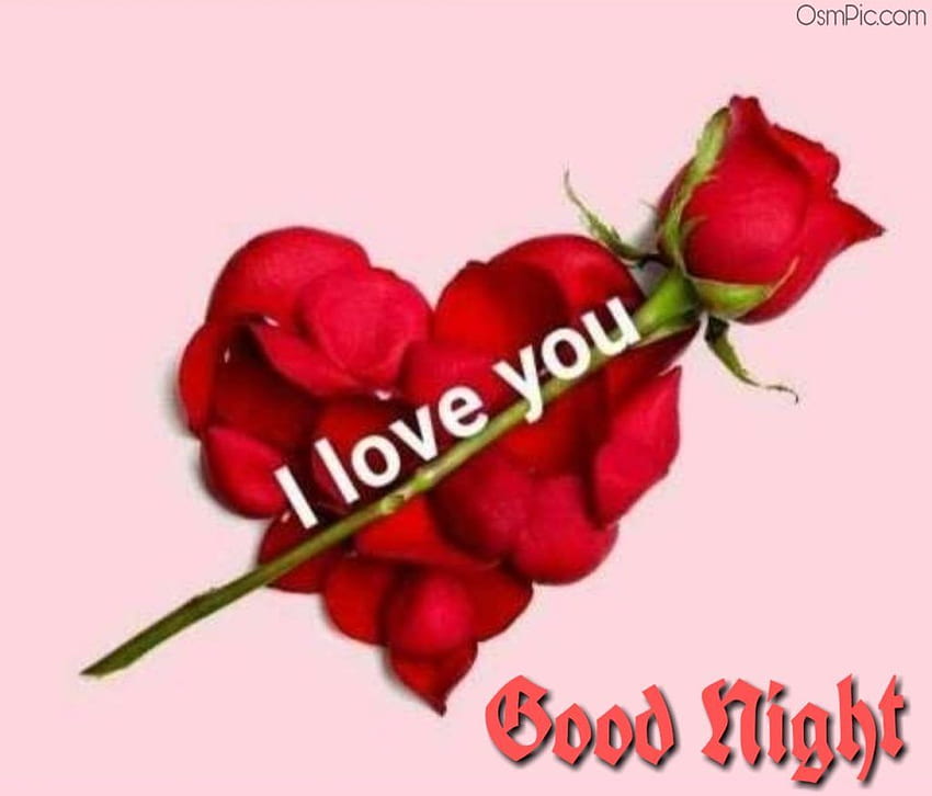 Red Rose I Love You Good Night HD wallpaper | Pxfuel