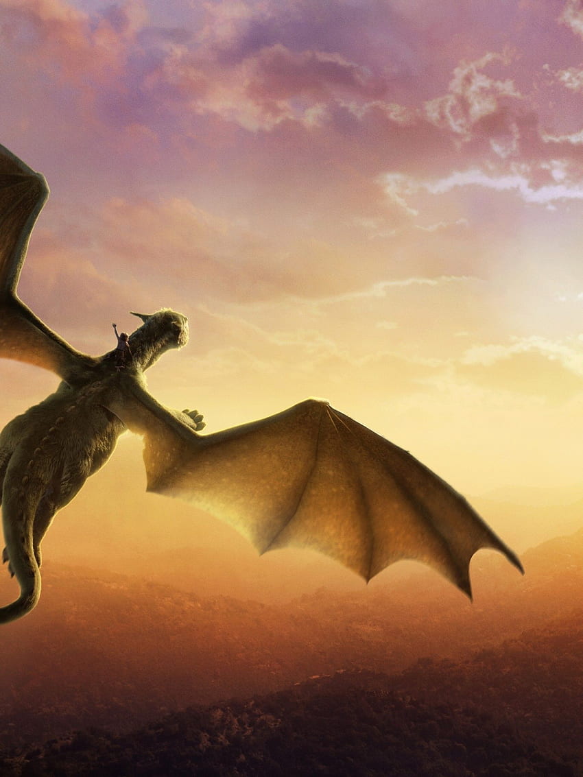 Pete's Dragon, Elliot, Flying, Sunset, Dragon 1536X2048 HD phone wallpaper