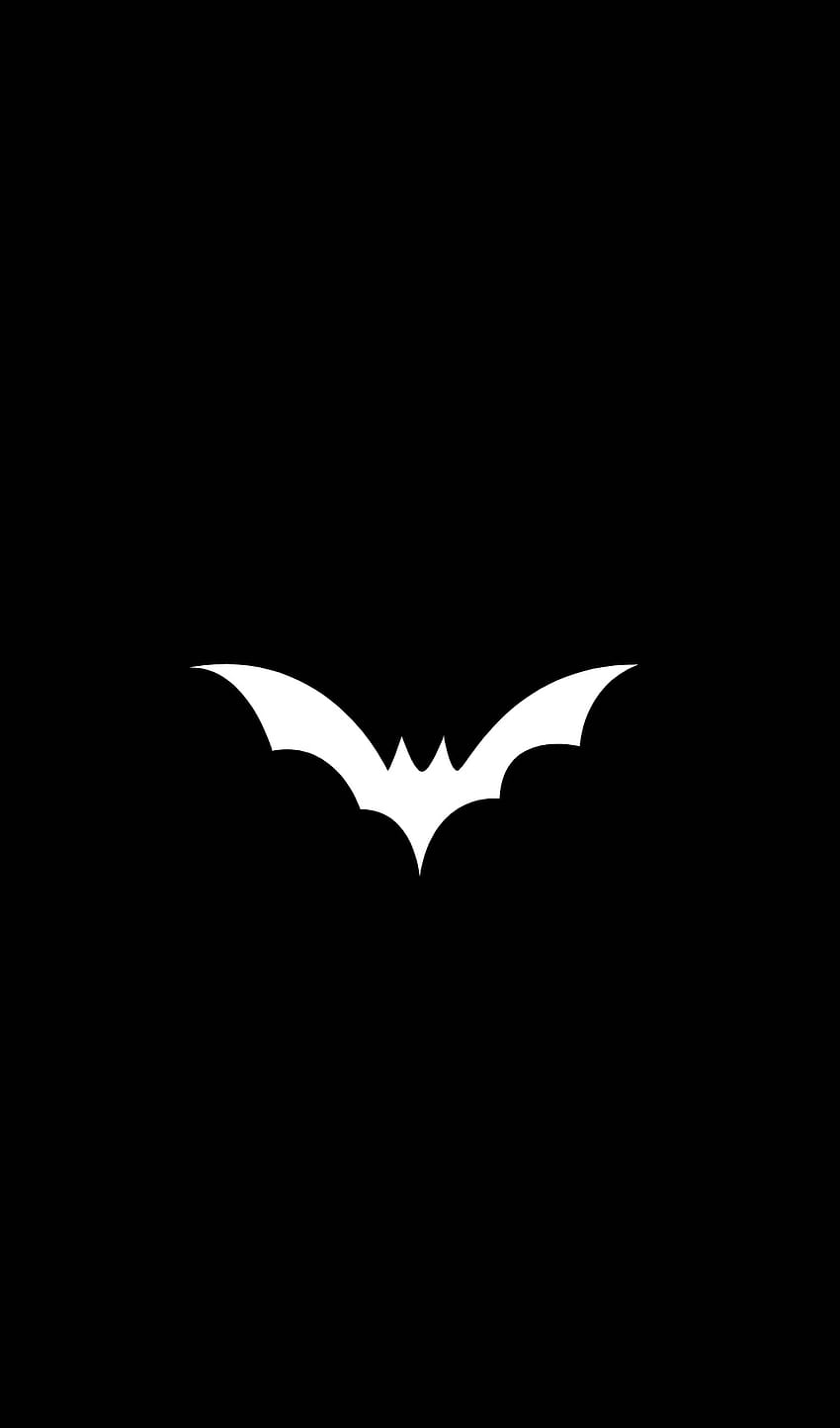 Bat, ardtun, animal HD phone wallpaper | Pxfuel