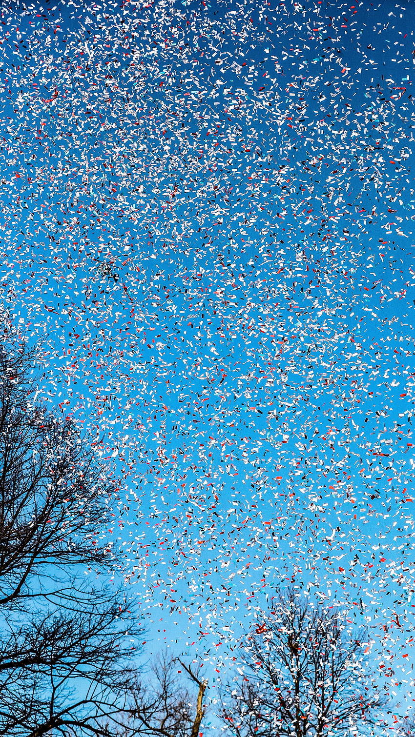 official-website-of-the-new-england-patriots-confetti-hd-phone