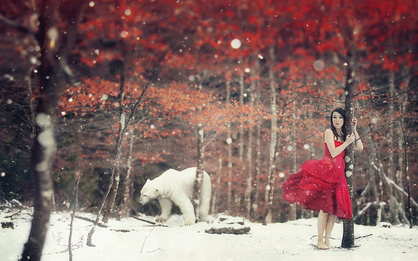 Fantasi musim dingin, musim dingin, putih, beruang kutub, gadis, Jeruk, gaun, pohon, wanita, fantasi, salju, merah, daun, hutan Wallpaper HD