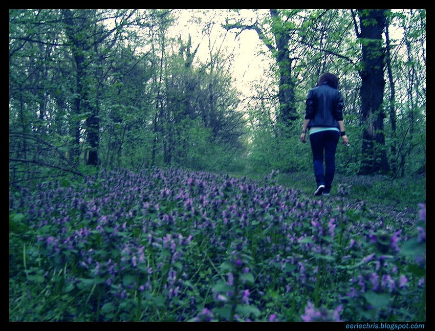 숲에서 길을 잃다, 길을 잃었다, 혼자, 연기, 소녀, 슬픔, 빈 HD 월페이퍼