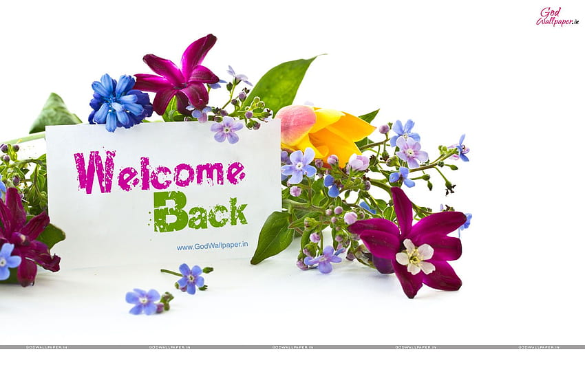 Welcome Home, Welcome Back to School HD wallpaper