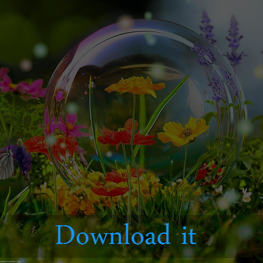 Aquarium Live pour Windows XP : Live Fond d'écran de téléphone HD