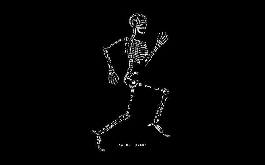 illustration, bones, skeleton, hand, arm, black and white, monochrome graphy, human body, font, organ , Skeleton Hand HD wallpaper