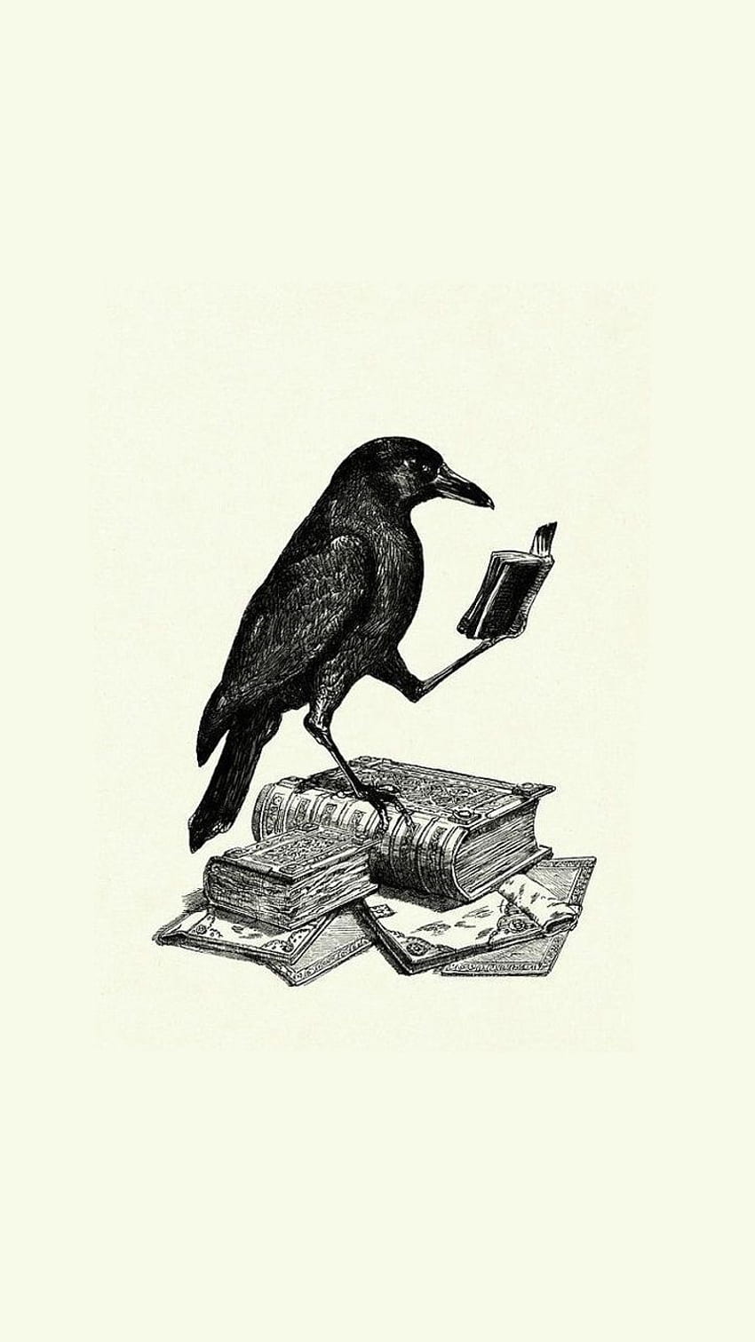 phone - reading raven. Android , Art, Book HD phone wallpaper