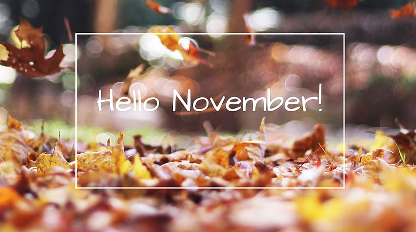 Hello November HD wallpaper | Pxfuel