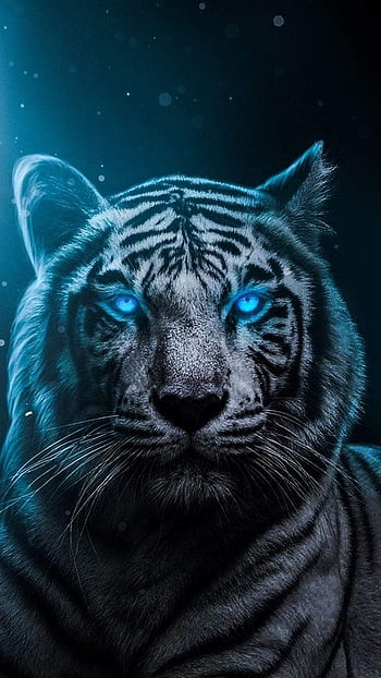 Tiger spirit animal HD wallpapers | Pxfuel