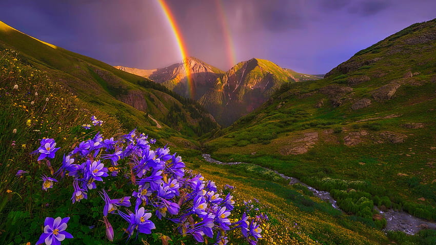 Regenbogen über Berg, Wildblumen, Hügel, Regenbogen, Akeleien, schön, Frühling, Berg, Sturm, Himmel HD-Hintergrundbild