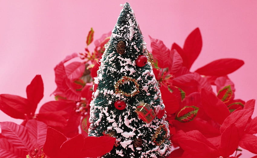 Holidays, Flowers, Snow, Toy, Christmas Tree HD wallpaper