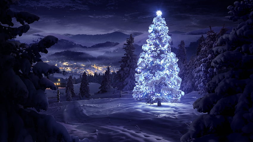 Árvore de Natal na floresta, Floresta, Árvores, Natureza, Luz, Inverno, Neve, Árvore de Natal, Azul, Céu papel de parede HD