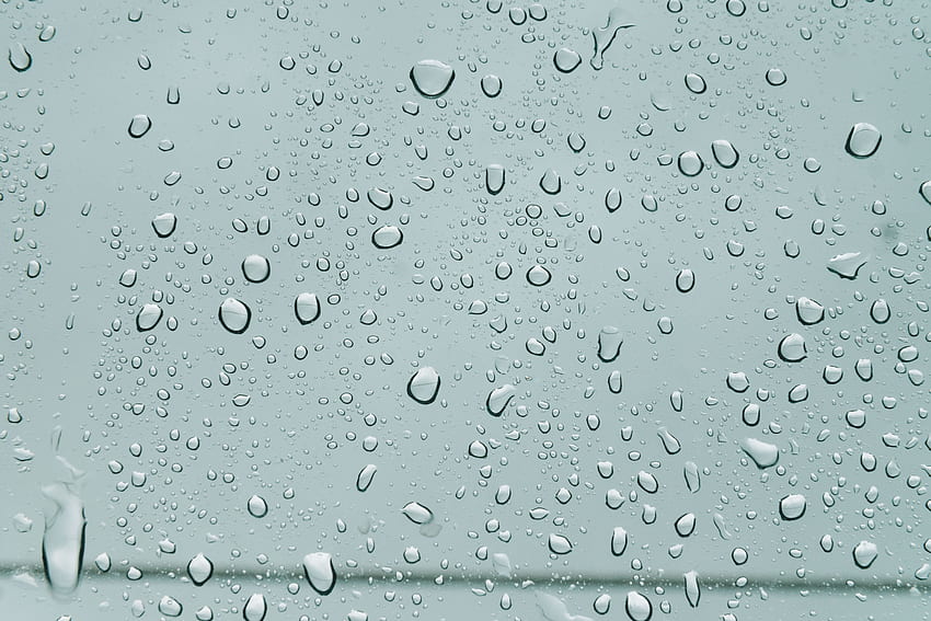 雨, 滴, マクロ, ウェット, 表面, 水分, フォーム, フォーム, 湿った 高画質の壁紙