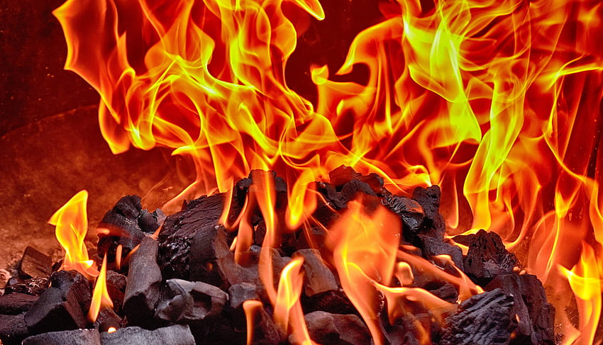 Fire, Bonfire, Coals, Flame HD wallpaper