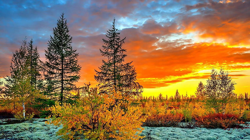 Zachód Słońca Jesień Natura Niebo Drzewa Liście Piękne Pomarańczowe Jasne Piękno Pole Chmury Spadek Ogniste Krzaki Plaża. Tapeta HD