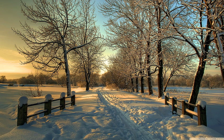 Country Winter di Pennsylvania, matahari terbenam, pagar, lanskap, pohon, jalan, langit, usa Wallpaper HD