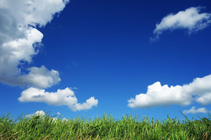 Nature Sky Outdoors Clouds Grass Summer Field Countryside Sunny - Best High Quality, Field of Grass HD wallpaper