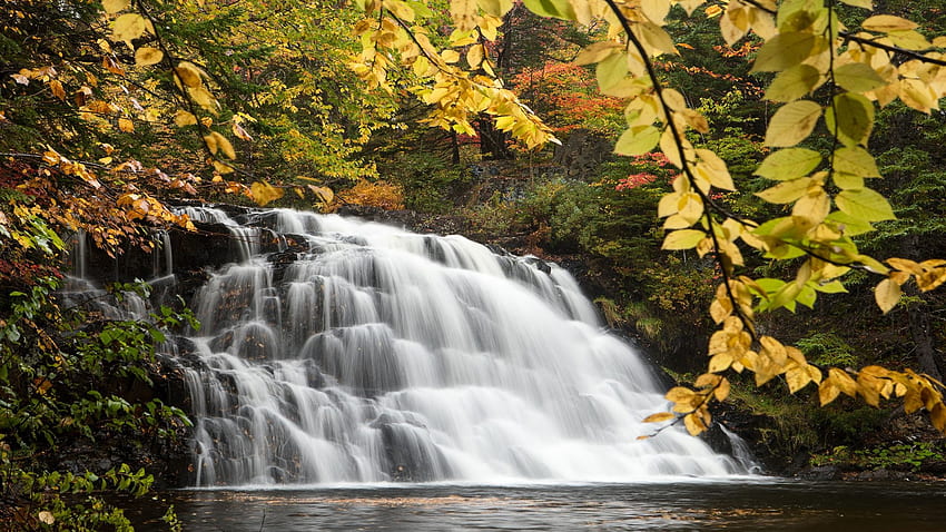 Gillis Lake Falls, Nova Scotia, river, leaves, colors, autumn, cascades, trees, canada, rocks, fall HD wallpaper