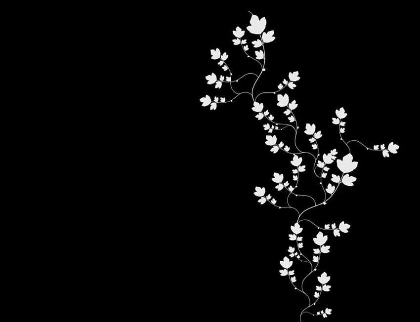 Semplice nero su fiore bianco per PowerPoint - Modelli PPT fiore Sfondo HD