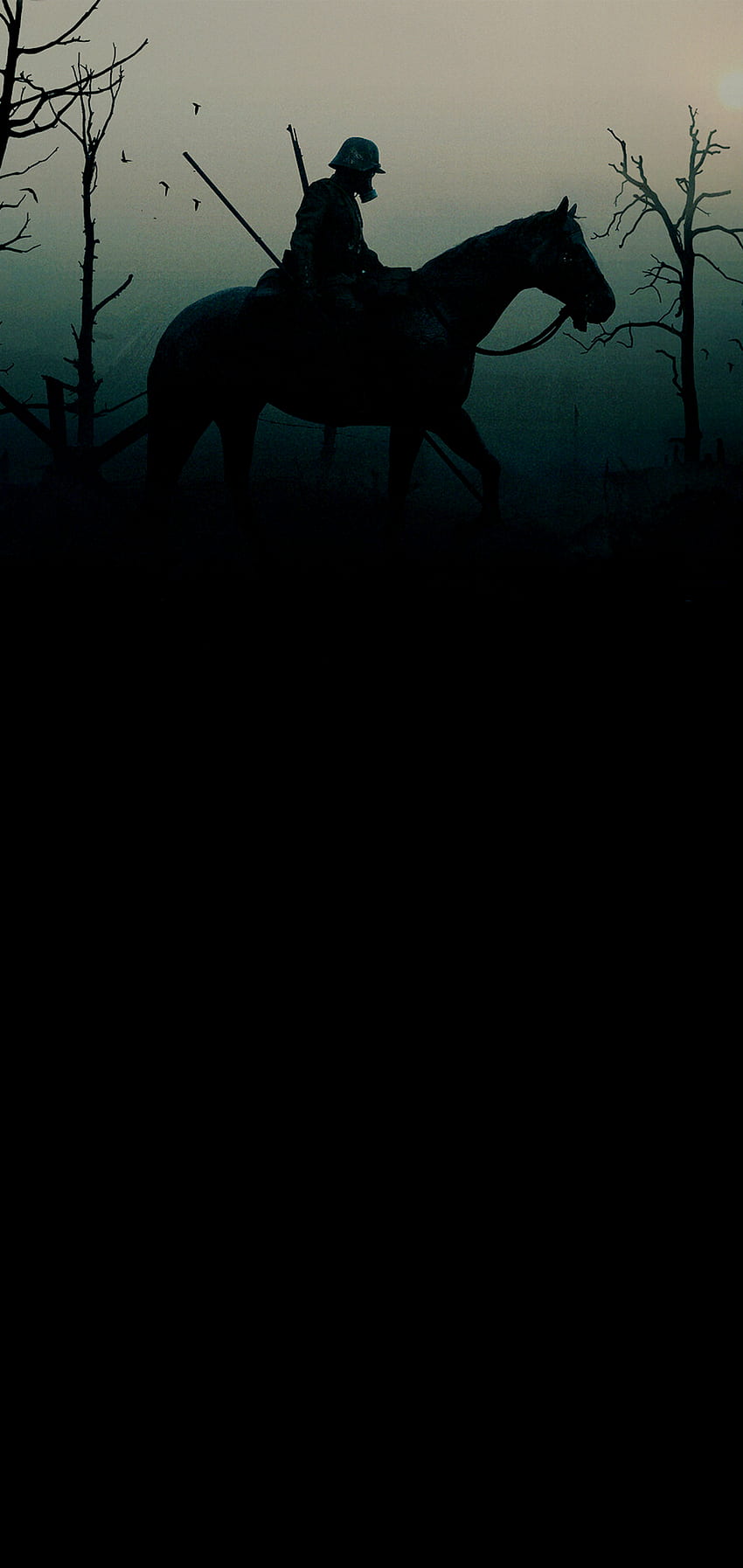 Schwarzes Pferd iPhone HD-Handy-Hintergrundbild