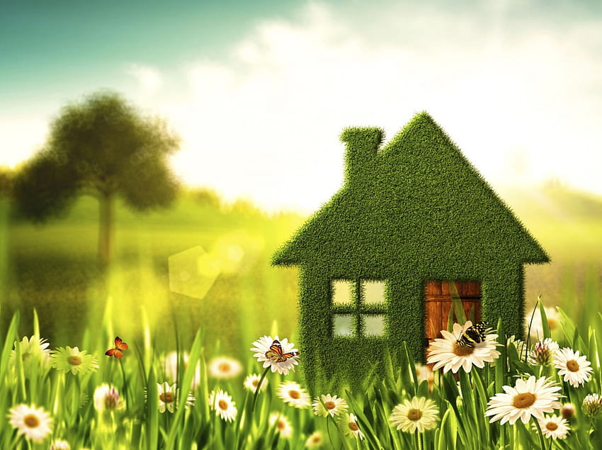 Spring Home, window, house, grass, tree, daisies, butterflies, door, field, flowers, Spring, home HD wallpaper