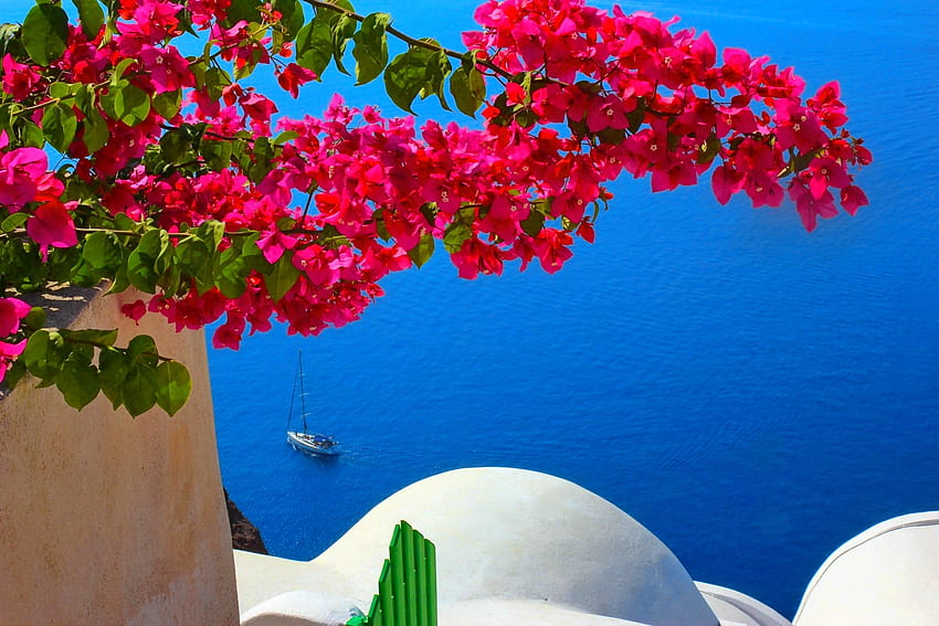 Lovely sea view, bougainvillea, sea, boat, summer, Greece, view, flowers HD wallpaper