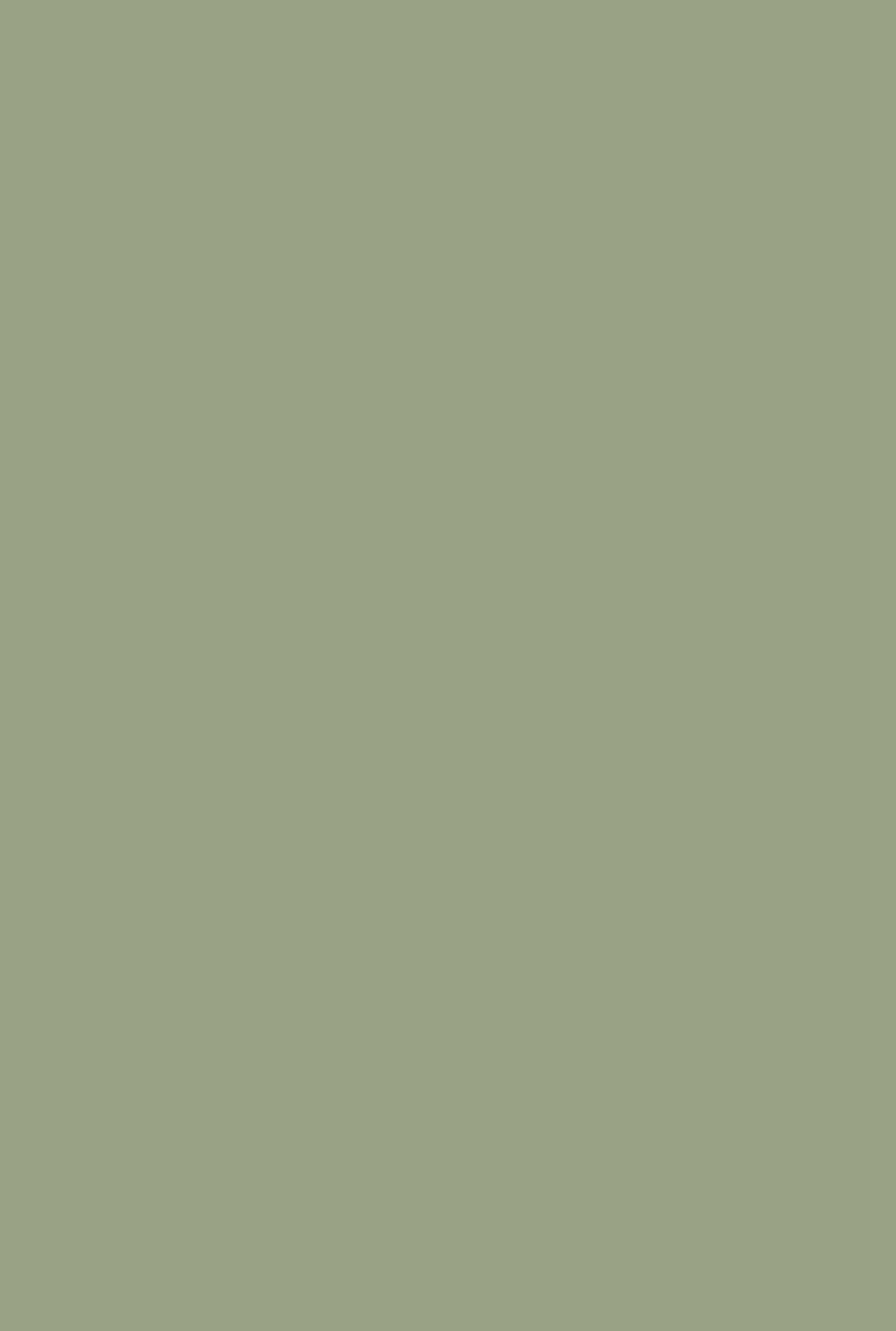 The 10 Best Paint Colors for Your Front Porch. Color iphone, Olive green , Pastel color, Solid Gray Pastel HD phone wallpaper