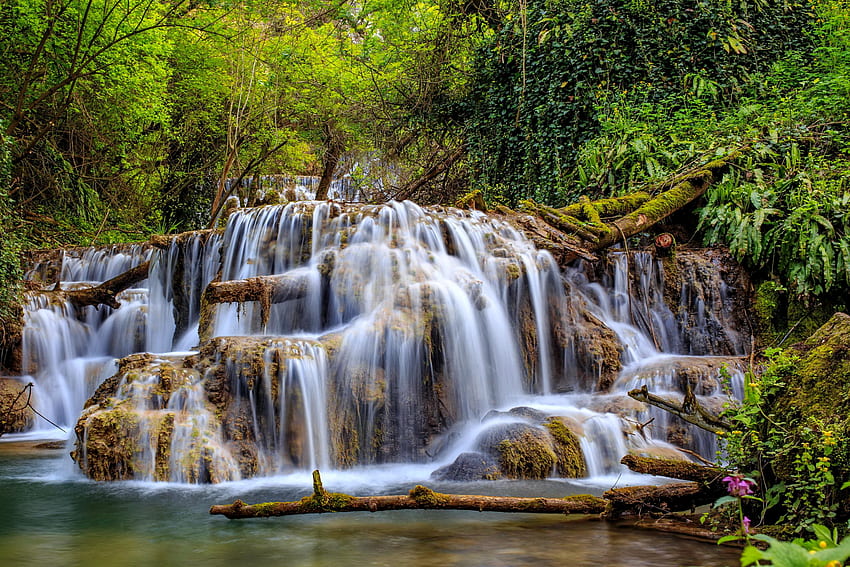 Cascades de Krushuna, Bulgarie, cascades, arbres, chute d'eau, verdure, belle, forêt, parc, pierres, été, Bulgarie Fond d'écran HD