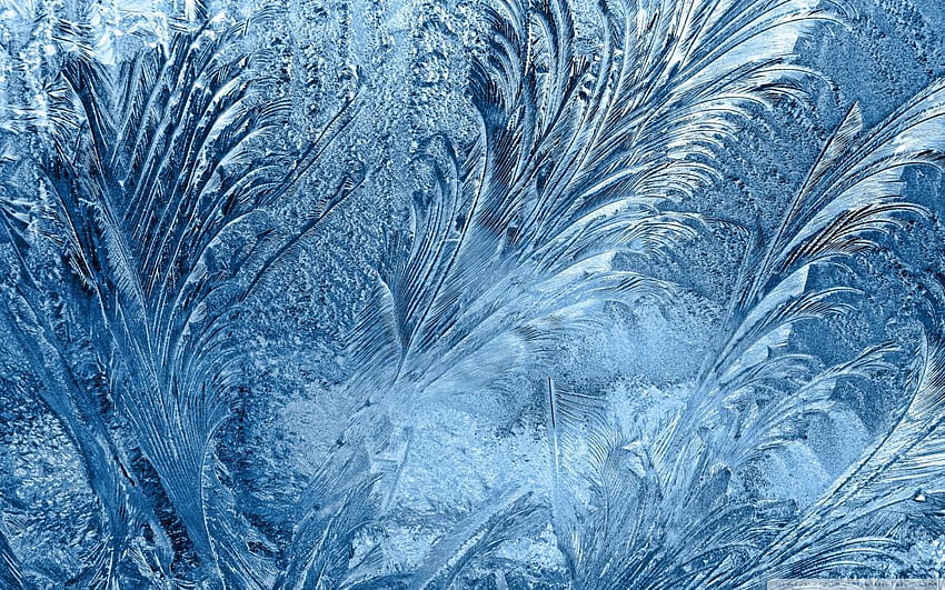Ice Flowers On The Window ❤ for Ultra, Ice Crystals HD wallpaper