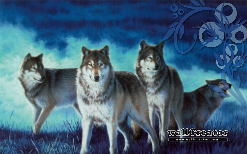 Wilcze stado. NCSU Wolfpack, NC Wolfpack 3 wymiarowe tło i tło Wolfpack, stado wilków Tapeta HD