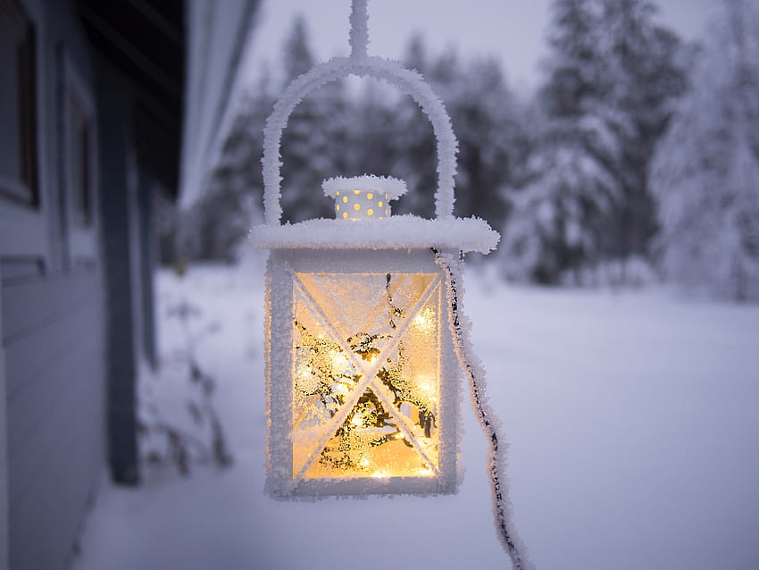 Snow, , , Lamp, Hoarfrost, Frost HD wallpaper