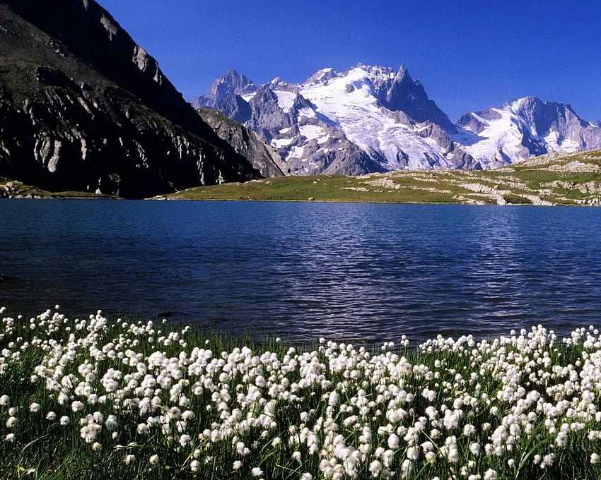 Пролетен пейзаж, сняг, природа, цветя, пролет, планини, езеро HD тапет