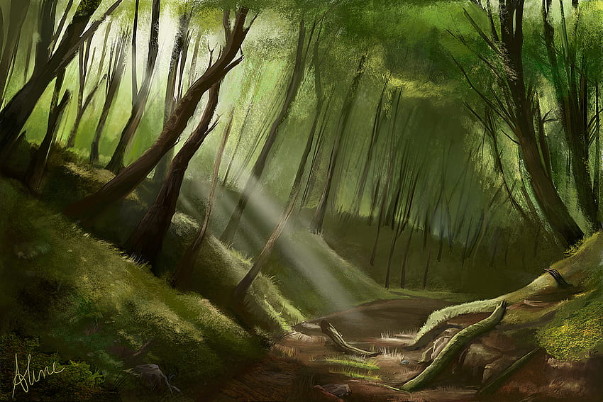 Enchanted Forest, Dark Enchanted Forest HD wallpaper